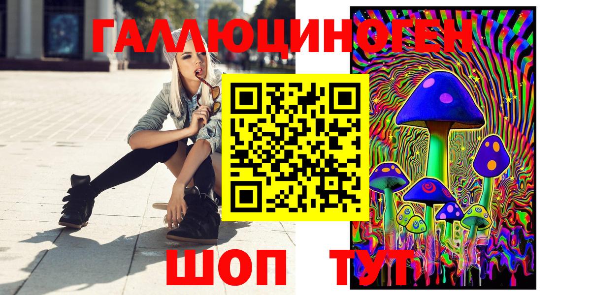Псилоцибиновые грибы Psilocybine cubensis  Вход с VPN  Сунжа 